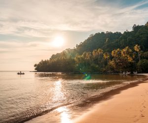 Beautiful tropical sea beach and palm forest in summer at the sunset. Koh Kood Island, Trat, Thailand
