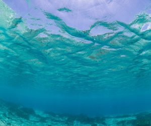 A vertical shot of the underwater ocean world getting in touch with the sky in  Bonaire, Caribbean