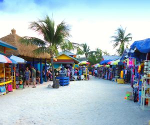 photograph vibrant local markets